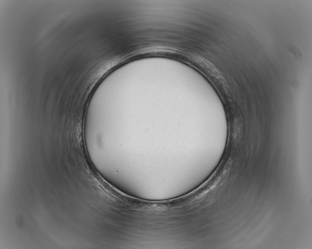 X0000111001321200907101443