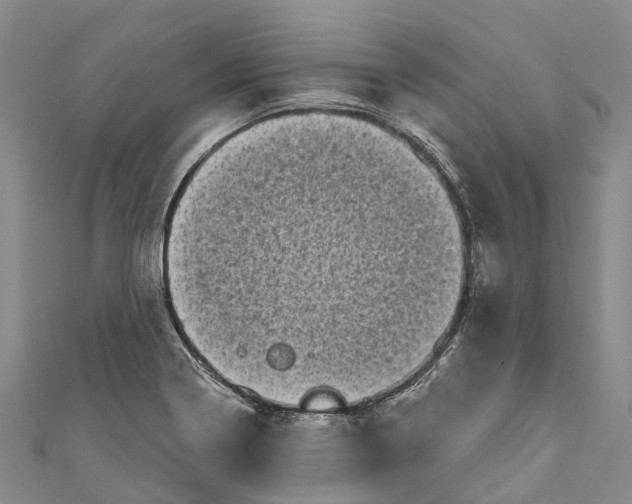 X0000111001322200907101443