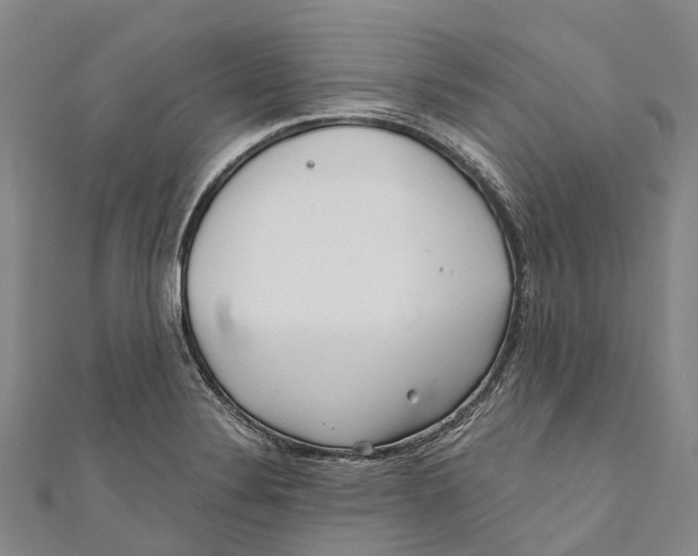 X0000111001324200907101443