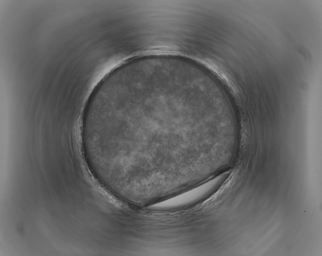 X0000111001325200907101443