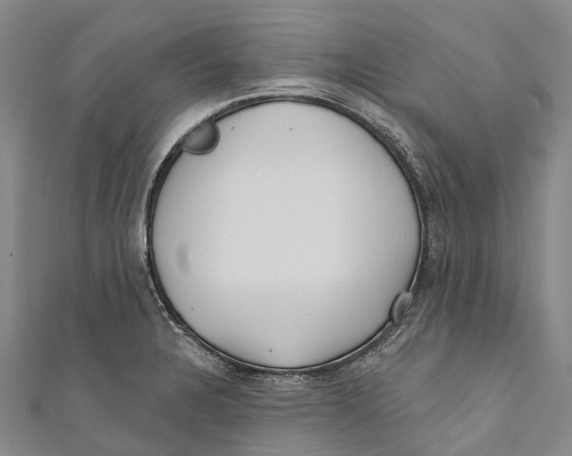 X0000111001328200907101444