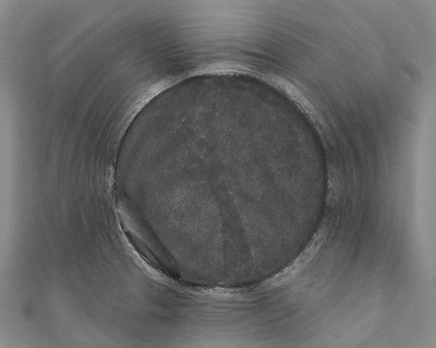 X0000111001329200907101444