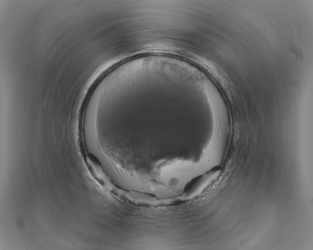 X0000111001331200907101444