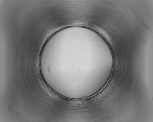 X0000111001332200907101444