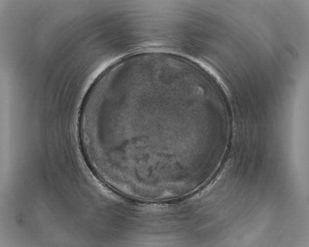 X0000111001333200907101444