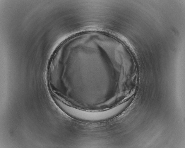 X0000111001334200907101444