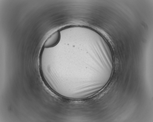 X0000111001335200907101444