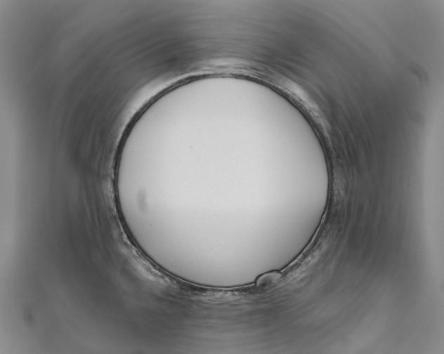 X0000111001336200907101444