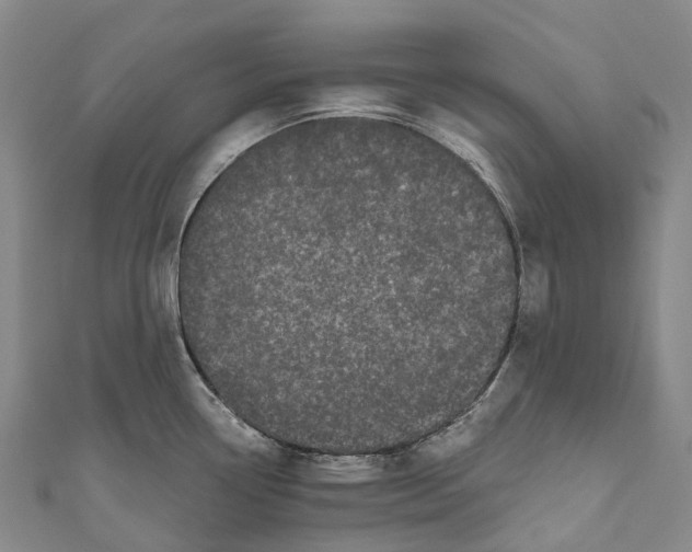 X0000111001338200907101444