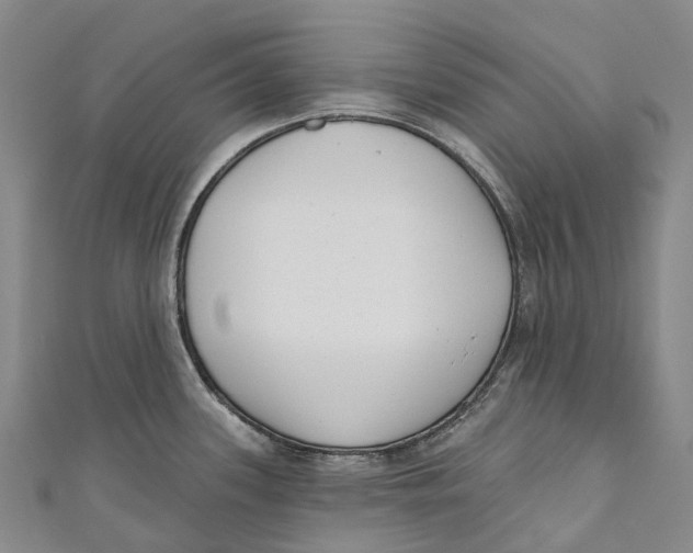 X0000111001339200907101444