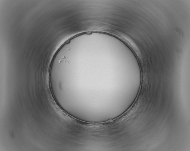 X0000111001340200907101444