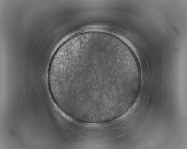 X0000111001341200907101444