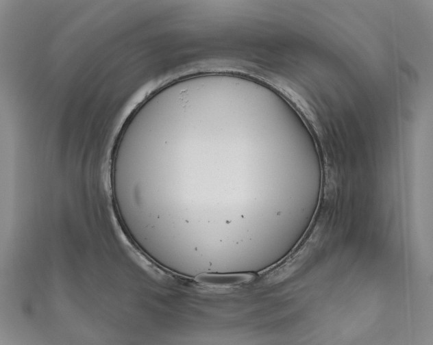 X0000111001342200907101444