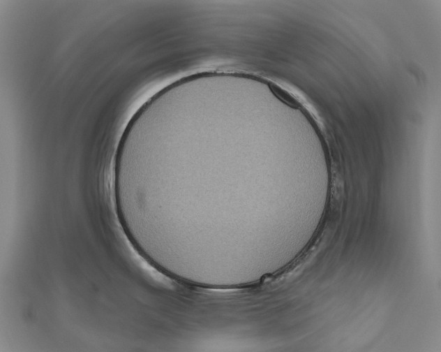 X0000111001343200907101444