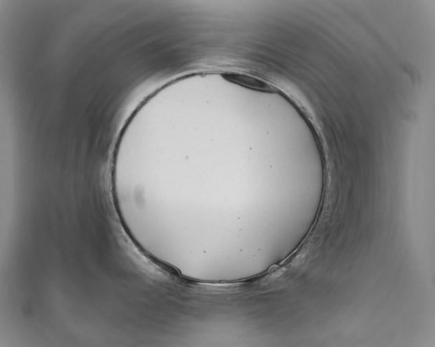 X0000111001344200907101444