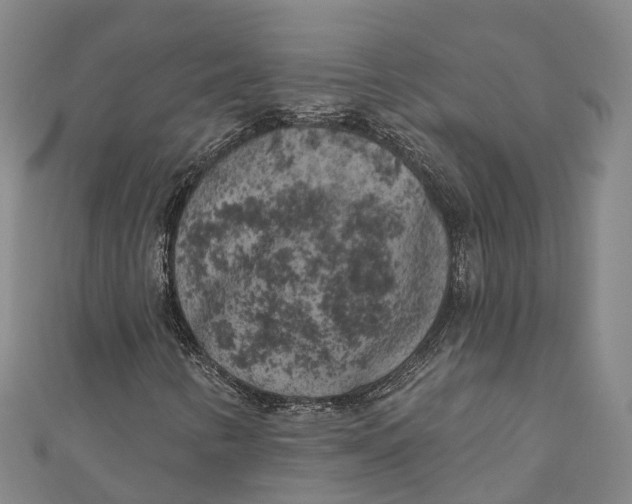 X0000111001346200907101443