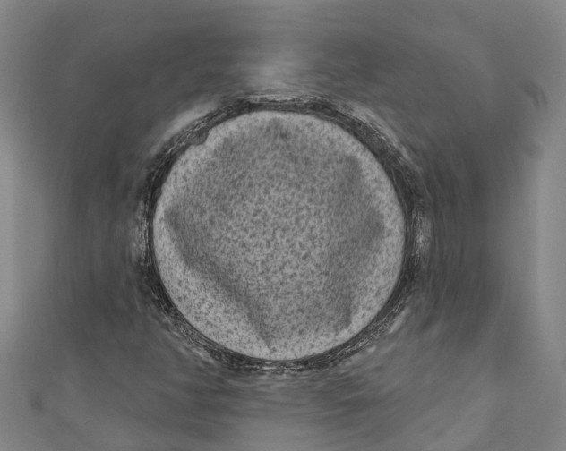 X0000111001350200907101443