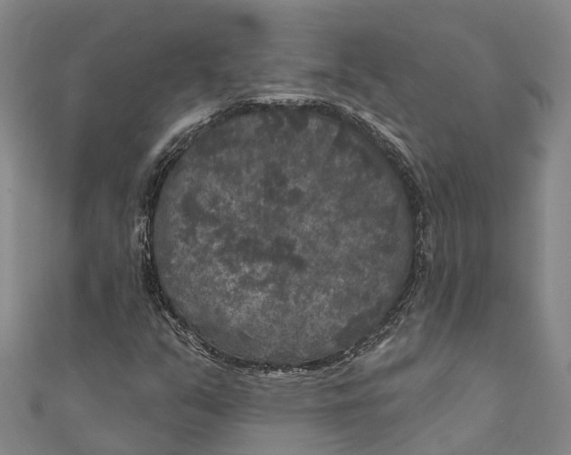 X0000111001351200907101443