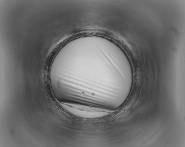 X0000111001352200907101443