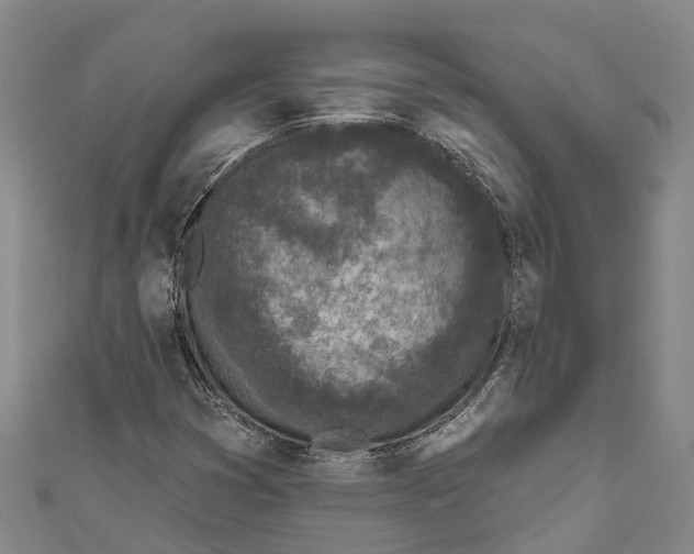 X0000111001353200907101443