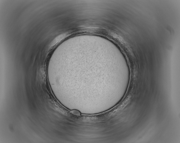 X0000111001354200907101443