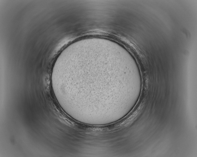 X0000111001355200907101443