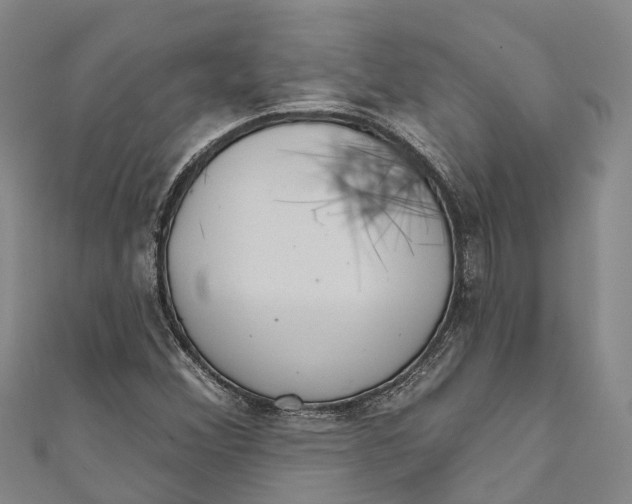 X0000111001356200907101443