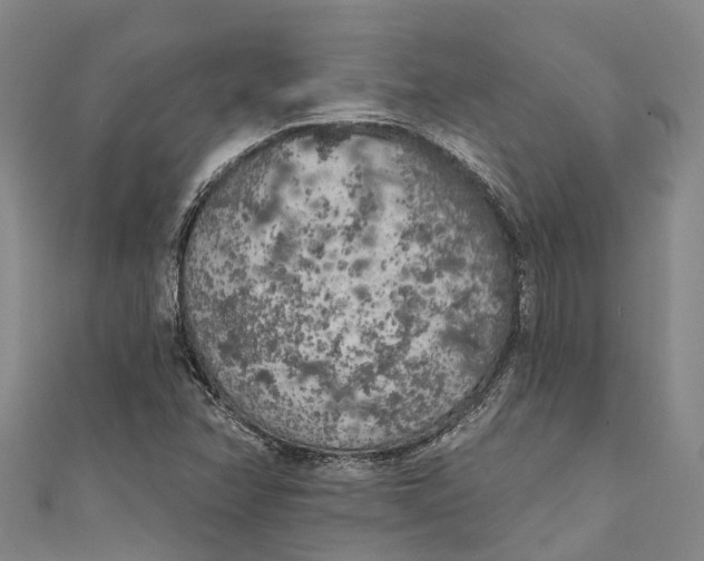 X0000111001358200907101443