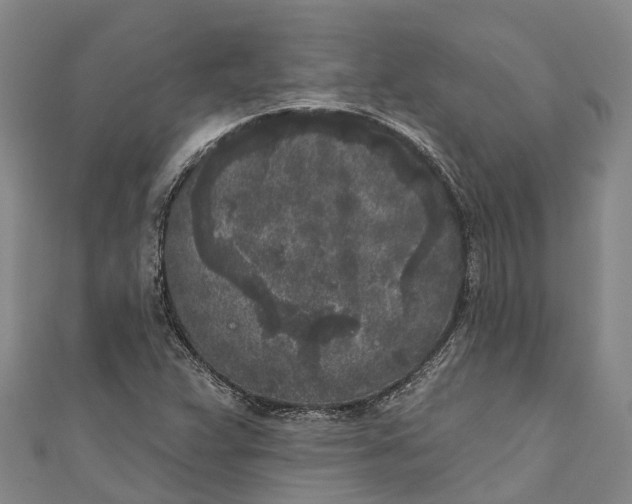 X0000111001359200907101443