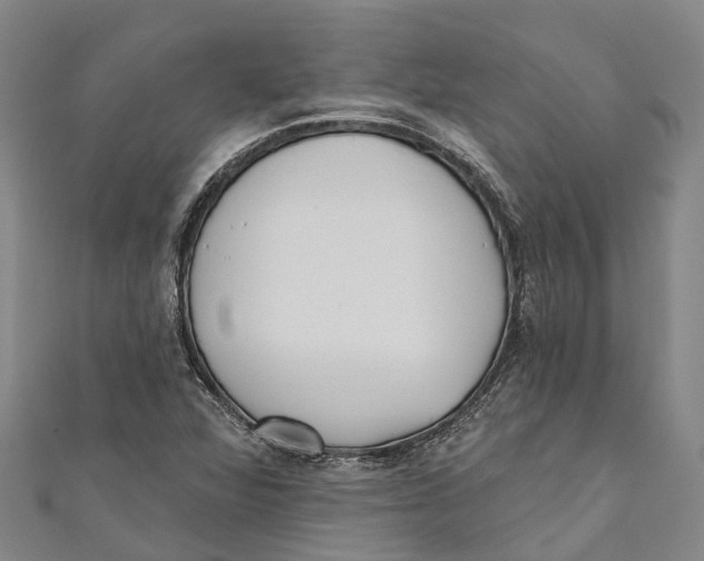 X0000111001360200907101443