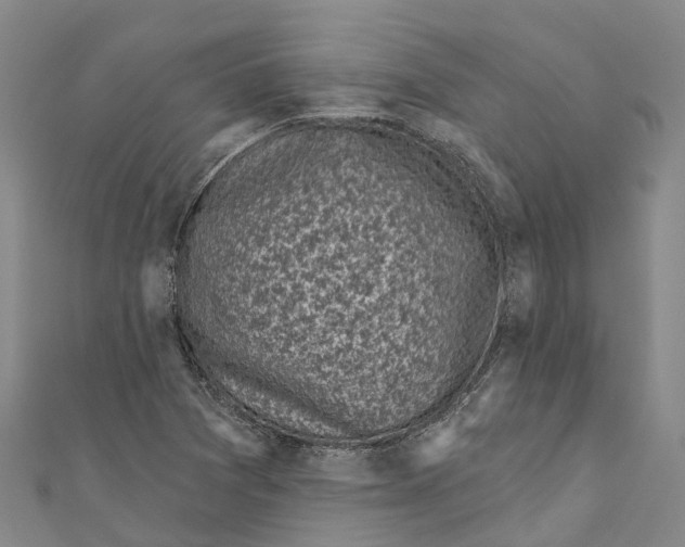 X0000111001361200907101443