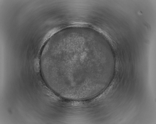 X0000111001362200907101443