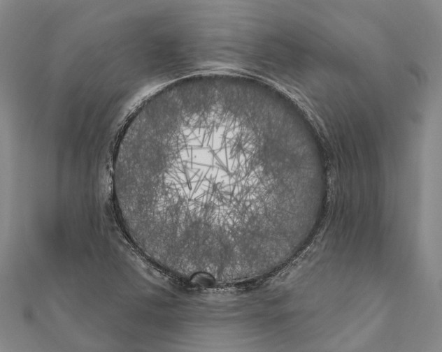 X0000111001363200907101443