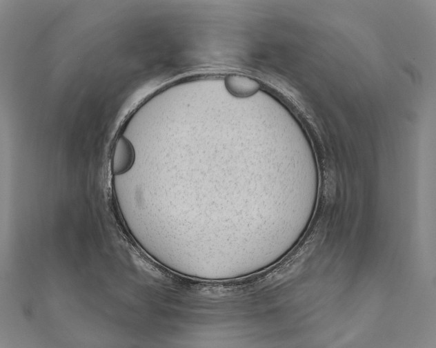 X0000111001366200907101443