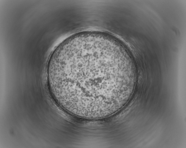 X0000111001367200907101443