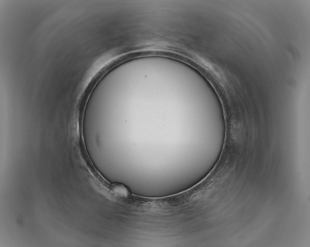 X0000111001368200907101443