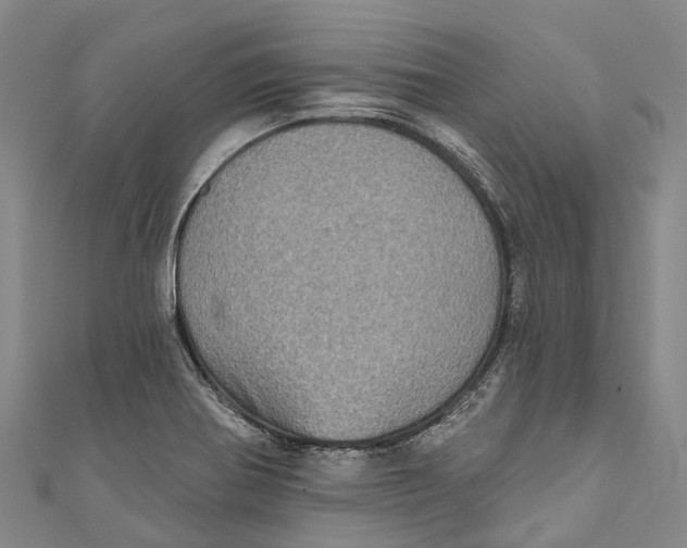 X0000111001370200907101443