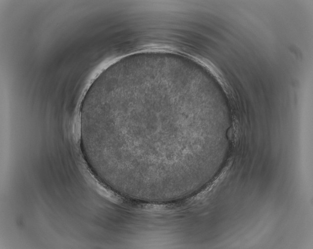 X0000111001371200907101443