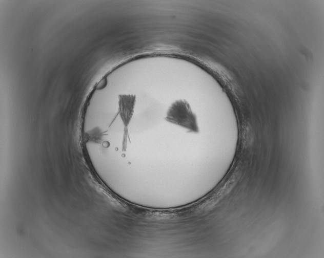 X0000111001374200907101443