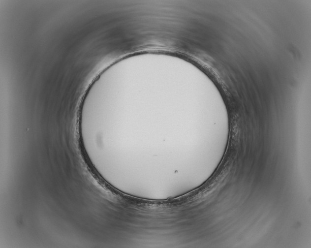 X0000111001375200907101443