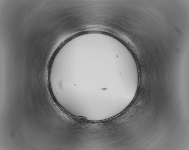 X0000111001376200907101443