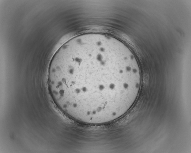 X0000111001378200907101443