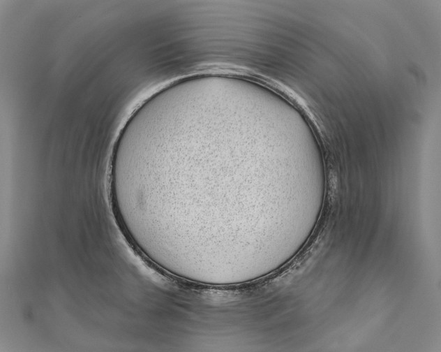 X0000111001379200907101443