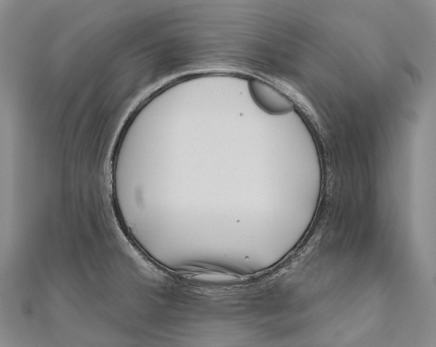 X0000111001380200907101442