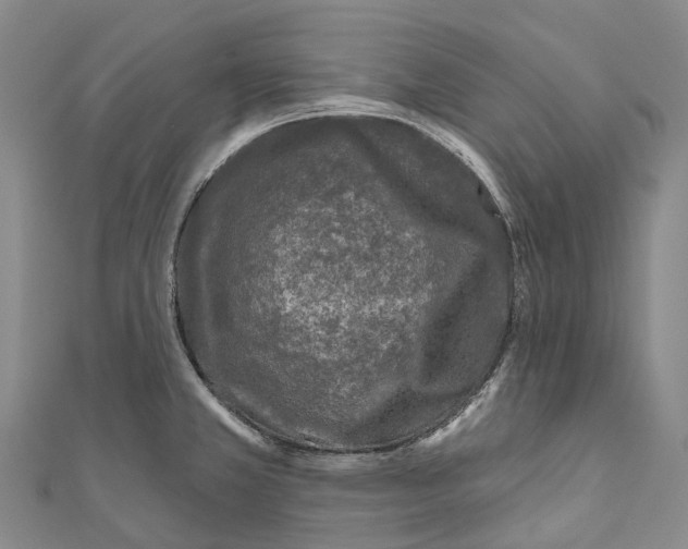 X0000111001381200907101442