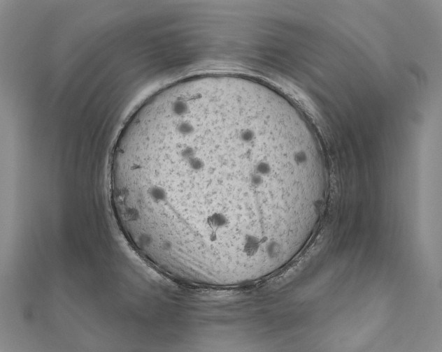 X0000111001382200907101442