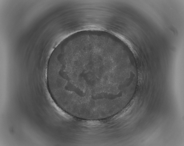 X0000111001383200907101442