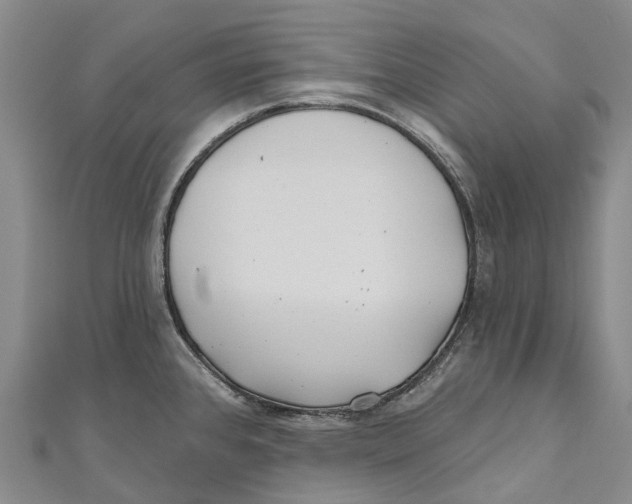 X0000111001384200907101442