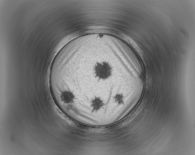 X0000111001386200907101442