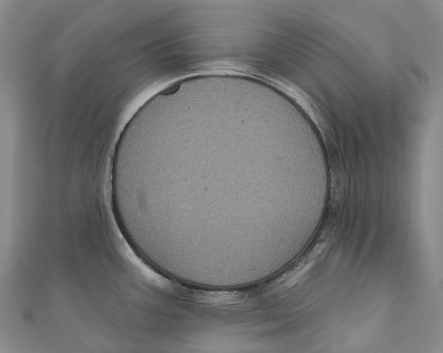 X0000111001387200907101442